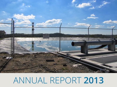AnnualReport2013-Icon